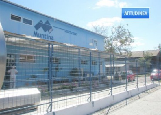 Atitudinea: Fiscul a scos la vânzare fabrica de lactate Muntina pentru 500.000 de euro